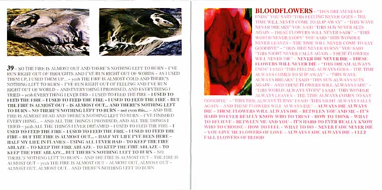 Bloodflowers - Booklet 6[66k]