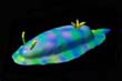 Amorphium Slug