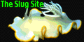 The Slug Site