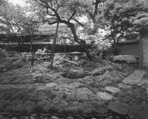 tea garden, japanese garden, chaniwa