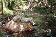 James taking a rest on a rock in Workman creek.