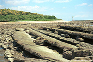 Aoshima in Miyazaki prefecture.