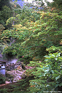 Okuyaken onsen, Kappa-no-yu in Aomori prefecture.
