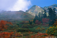 The trail from Babatani onsen to Shiroumadake.