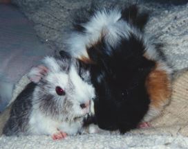 Friends