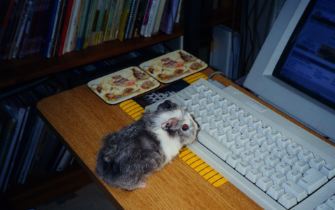 Computer