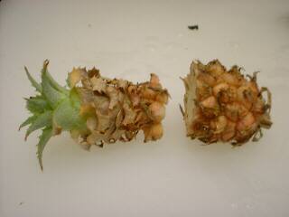 �~�j�`���A�E�p�C��