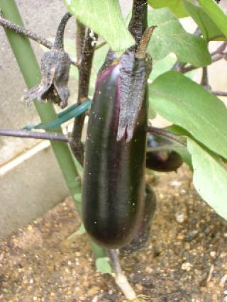 �����|�Q