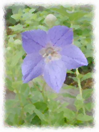 �L�L���E�i���H��j