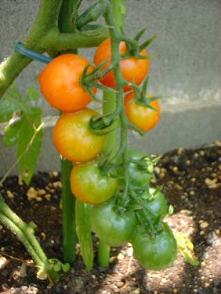 �~�j�g�}�g