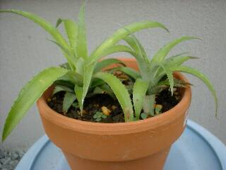 �~�j�p�C��