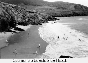 coumenole