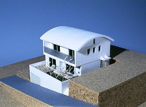 模型/T邸
