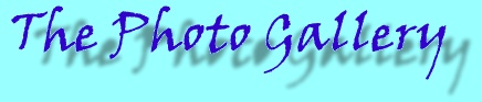 The Photo Gallery