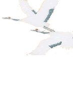 turu_img