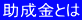 助成金とは 
