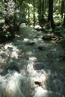 音羽川上流の流れ