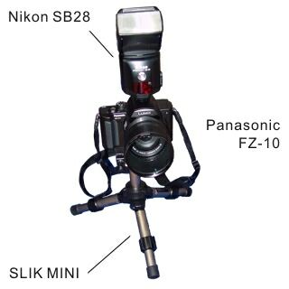 tFZ-10
