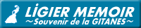 LiGiER MEMOIR