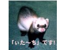 �i^_^�j�i�O_�O�j