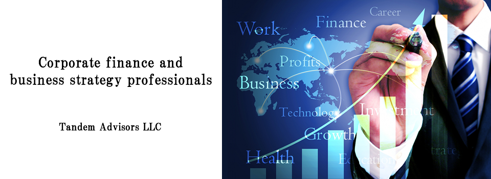 Experienced corporate finance and business strategy professionals will support your business